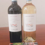 San Michele Valoplocella Soave